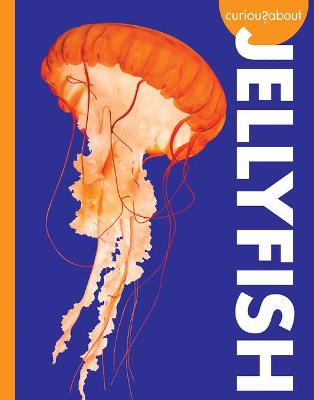 Cover of Curious about Jellyfish