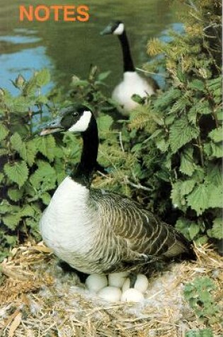 Cover of Note Book Canada Geese