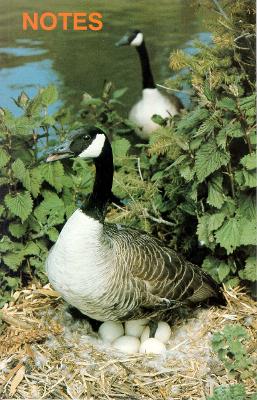 Book cover for Note Book Canada Geese