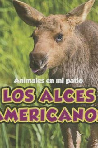 Cover of Los Alces Americanos