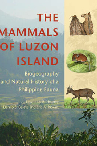 Cover of The Mammals of Luzon Island