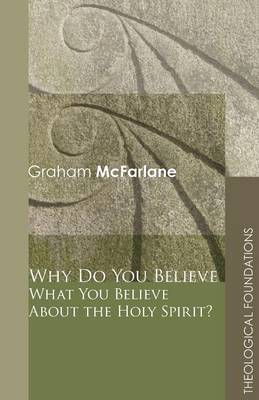 Book cover for Why Do You Believe What You Believe About the Holy Spirit?