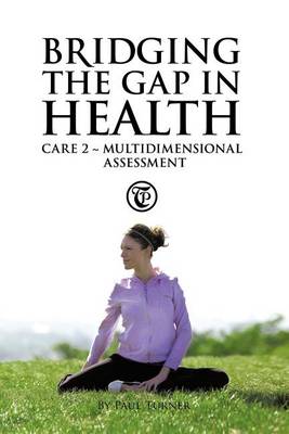 Book cover for Bridging the Gap in Health Care 2