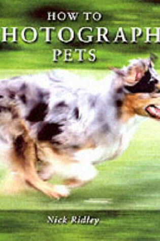 Cover of How to Photograph Pets