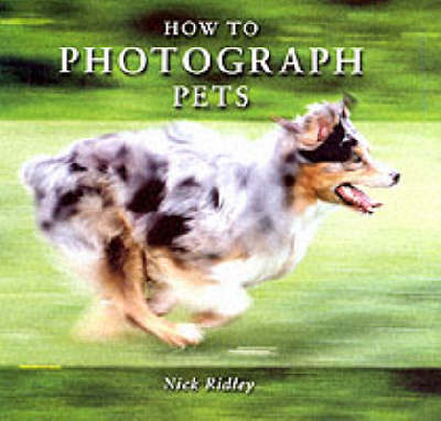 Book cover for How to Photograph Pets