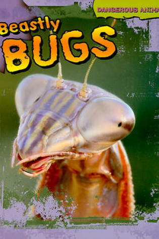 Cover of Beastly Bugs