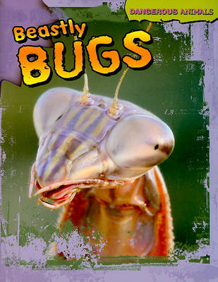 Book cover for Beastly Bugs
