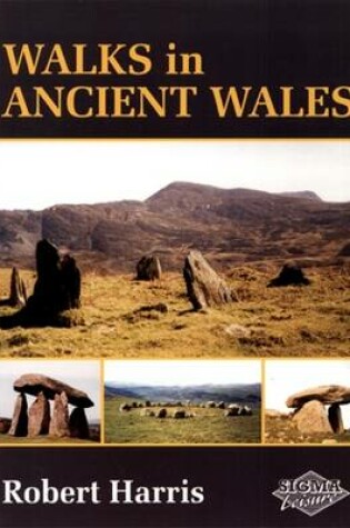 Cover of Walks in Ancient Wales