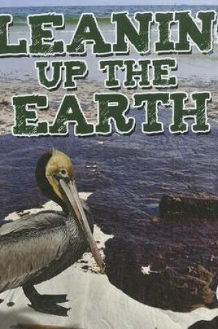 Cover of Cleaning Up the Earth