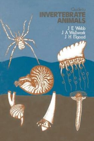 Cover of Guide to Invertebrate Animals