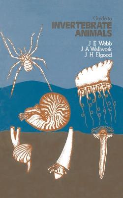 Book cover for Guide to Invertebrate Animals