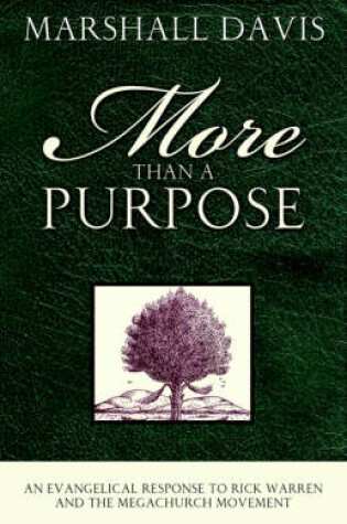 Cover of More Than a Purpose, an Evangelical Response to Rick Warren and the Megachurch Movement
