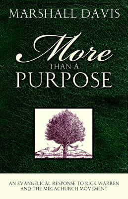 Book cover for More Than a Purpose, an Evangelical Response to Rick Warren and the Megachurch Movement