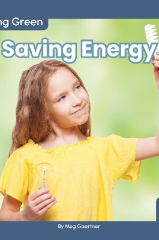 Cover of Saving Energy