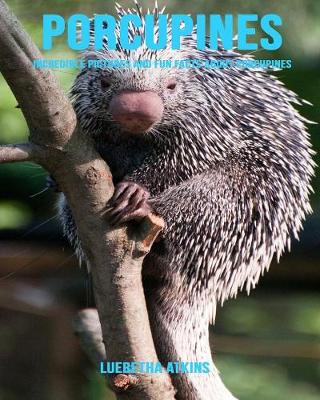 Book cover for Porcupines