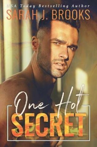 Cover of One Hot Secret