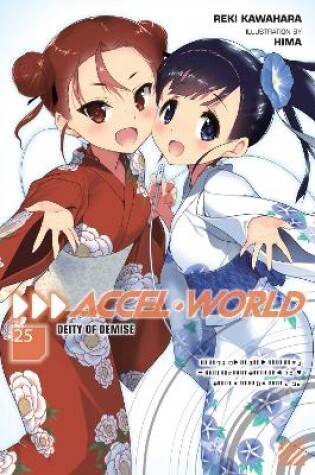 Cover of Accel World, Vol. 25 (light novel)