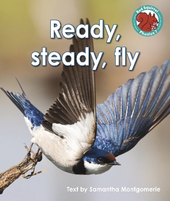 Cover of Ready, steady, fly
