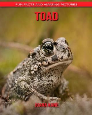 Book cover for Toad