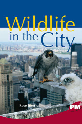 Cover of Wildlife in the City
