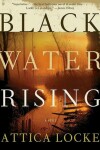 Book cover for Black Water Rising