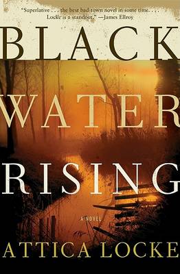 Cover of Black Water Rising