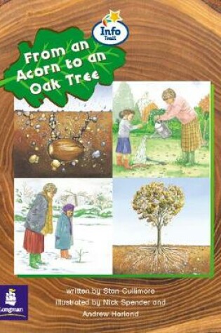 Cover of From an Acorn to an Oak Tree Info Trail Emergent Stage Non-fiction Book 23