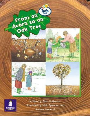 Book cover for From an Acorn to an Oak Tree Info Trail Emergent Stage Non-fiction Book 23