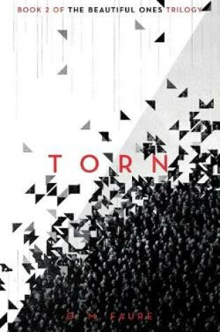 Cover of Torn