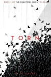 Book cover for Torn