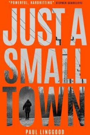 Cover of Just a Small Town