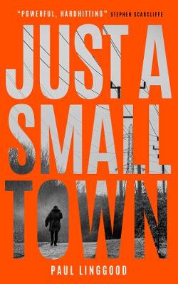 Cover of Just a Small Town