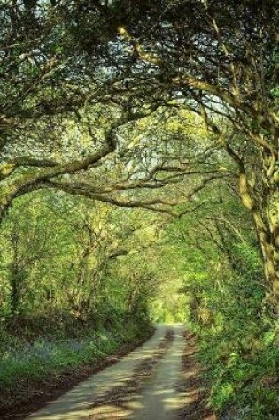 Cover of A Forest Path Journal