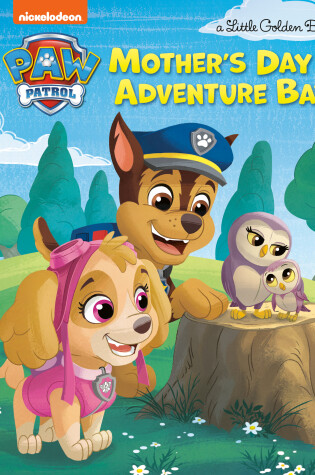 Cover of Mother's Day in Adventure Bay (PAW Patrol)