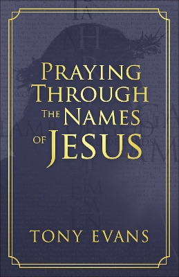 Book cover for Praying Through the Names of Jesus