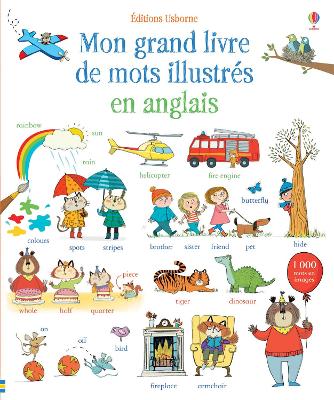 Book cover for Mon grand livre de mots illustrés en anglais