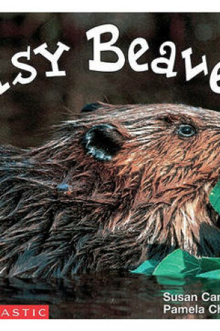 Cover of Busy Beavers