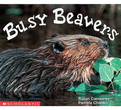 Book cover for Busy Beavers