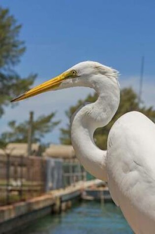 Cover of Great Egret in Florida, Birds of the World