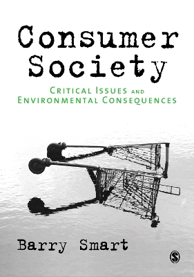 Book cover for Consumer Society