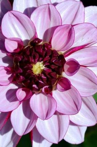 Cover of Close Up of a Purple Dahlia Flower Journal