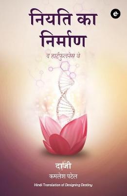 Book cover for Designing Destiny (Hindi)