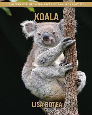 Book cover for Koala