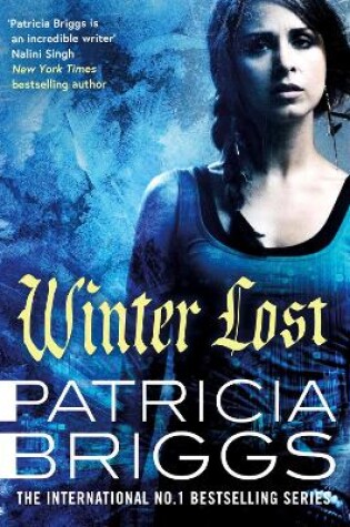 Cover of Winter Lost