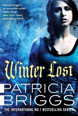 Book cover for Winter Lost