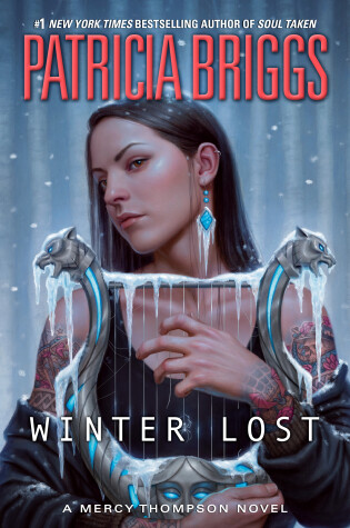 Cover of Winter Lost