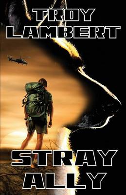 Cover of Stray Ally