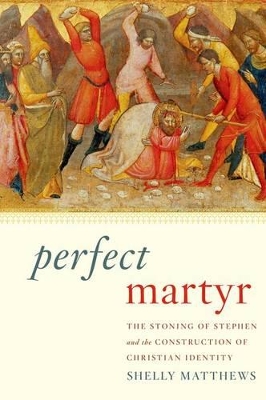 Book cover for Perfect Martyr