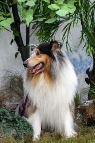 Cover of Rough Collie Dog Profile Journal