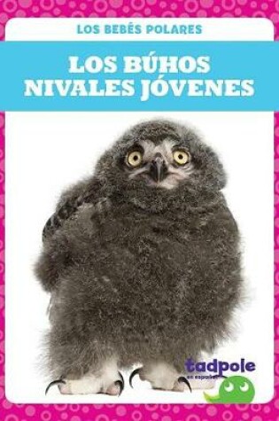 Cover of Los Buhos Nivales Jovenes (Snowy Owlets)